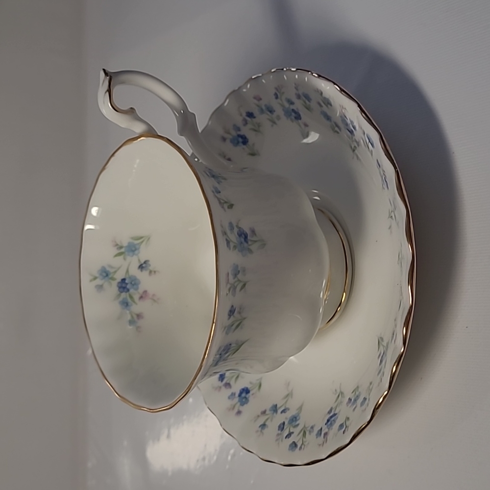 Royal Albert bone China teacup and saucer memory lane England